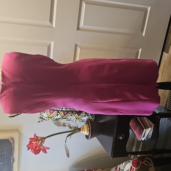 Maurice's Elegant Hot Pink Sleeveless Dress - Picture 11 of 17